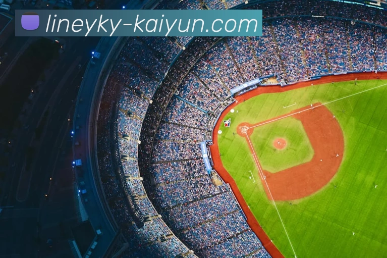 App Interface Preview